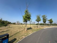 -艾溪湖湿地公园