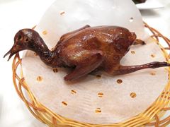 -稻香酒家·33年老字号·港式粤菜(富邦中心店)