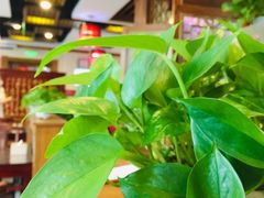 -恭敬李·烤鸭(天坛北门店)