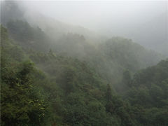 -崀山风景名胜区
