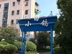 -上海浦东新区民办小白鸽幼儿园