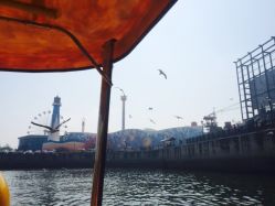 -星海水上乐园(星海广场圣亚店)