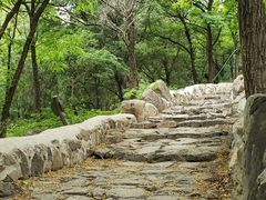 -阳台山自然风景区