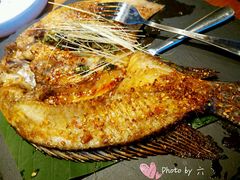 -云海肴·汽锅鸡·云南菜(天津国金汇店)