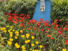 -南宫五洲植物乐园