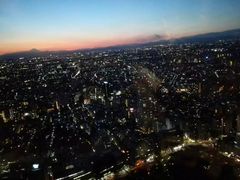 -东京都厅舍