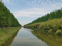 -黄海国家森林公园