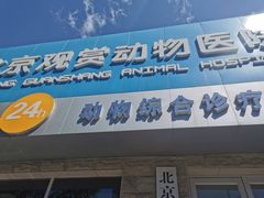 -北京观赏动物医院·24小时大型综合·猫专科·异宠专科