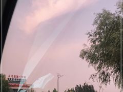 -君乐宝优致牧场