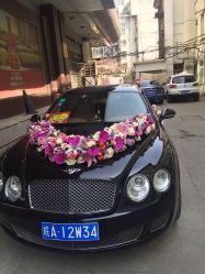 -喜乐汇·婚车(华润橡树湾3期店)