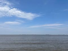 -上海滨江森林公园