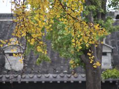 -老门东历史文化街区