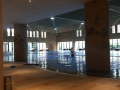 -鹏湃星少儿游泳运动中心(西溪店)