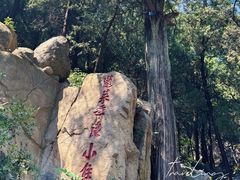 -泰山风景名胜区