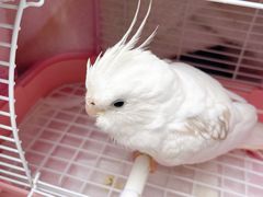 -雨林宠物医院 非犬猫异宠专科