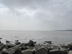 -深圳湾公园(南山区)