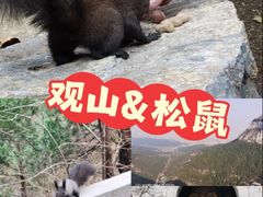 -佛慧山
