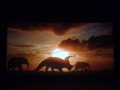 -山文星辉影城(济南和谐广场店)