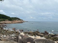 -广东惠东海龟国家级自然保护区