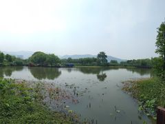 -长兴太湖图影湿地文化园