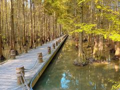 -桤木河湿地公园