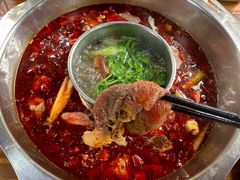 -金鼎雪山牦牛杂火锅(理县总店)