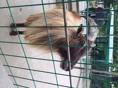 秦岭野生动物园-西安秦岭野生动物园