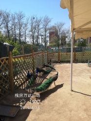 点击看大图 -萌宠亲子动物乐园(槐房万达店)