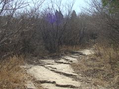 -原山国家森林公园