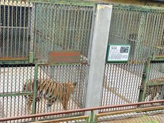 -合肥野生动物园
