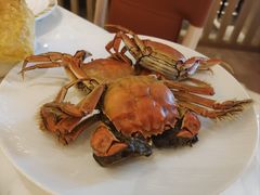 -冀粤香海鲜自助餐厅(西美五洲店)