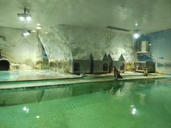 -北戴河圣蓝海洋公园