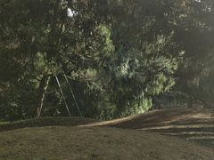 -杭州植物园
