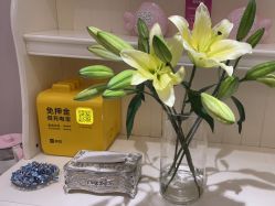 -北京俪婴妇产医院(朝阳大悦城店)