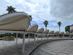 -碧海金沙