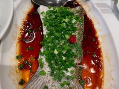 翘嘴鱼-江南荣庄