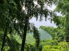 -藏龙百瀑风景区