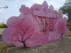 -天适樱花悠乐园