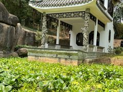 -深圳国际园林花卉博览园