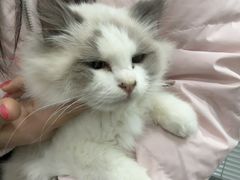 -心仪动物医院·牙专科·肿瘤·心脏科(西客站院)