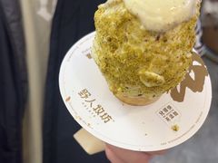 -野人先生现做冰淇淋(西安赛格店)