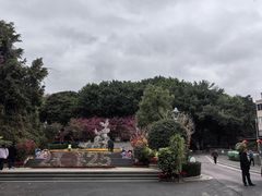 -金鸡山公园
