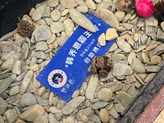 -韩乔恩·韩式自助·无限烤肉(新迎新城店)
