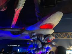 -泉城欧乐堡海洋极地世界