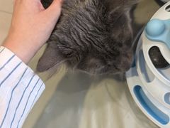 -平行世界·猫咖(首经贸店)