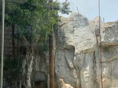 -灵玲国际马戏城