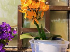 -三忘湖 SWANSEEN(柳荫公园店)