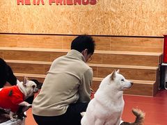 -和它·交个朋友·狗咖猫咖(爱琴海店)