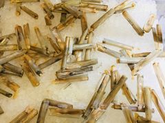 -新发展亚太JW万豪酒店·福苑咖啡厅