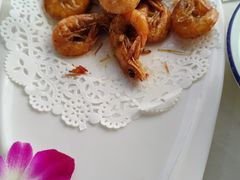 -云中小雅